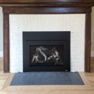 Fireplace Xtrordinair 34 DVL  Gas Insert with Contemporary Face and Birch Logs and Chimney